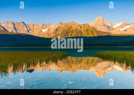 Howse Peak relected en lago de aves acuáticas en el Parque Nacional Banff, en Alberta, Canadá al amanecer. Foto de stock