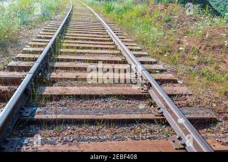 Trenes en el paisaje rural. Pista de tren en el prado. Líneas de ferrocarril rurales abandonadas para el transporte de carga. Enfoque selectivo. Tren renaissanc