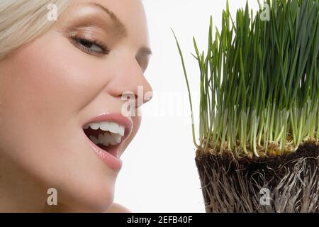 Primer plano de una joven sonriendo con hierba de trigo en frente de su rostro Foto de stock