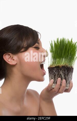 Primer plano de una mujer joven comiendo hierba de trigo Foto de stock