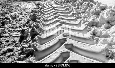 Pistas amplias y profundas de los neumáticos del tractor en blanco suave fresco nieve de alto contraste Foto de stock