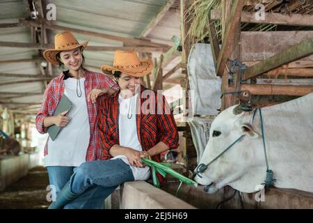 Primer plano de niña y niño sonrisa usando ropa informal mientras alimenta a las vacas con hierba contra el fondo del establo de la granja de vacas