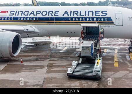 Un cargador ULD que eleva un dispositivo de carga unitaria (ULD) desde Delantal se extiende a una bahía de carga de aviones de Singapur Máquina de líneas aéreas en el aeropuerto Changi de Singapur