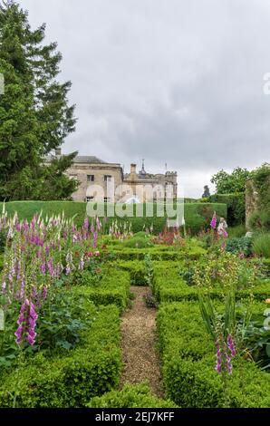 Jardines en Rousham House, con la casa en el fondo, con Digitalis purpurea, Foxgarms y coberturas de cajas; Oxfordshire, Reino Unido Foto de stock