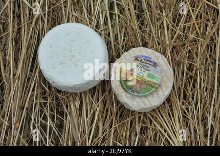 Cría de cabras y producción de productos orgánicos a partir de leche de cabra Foto de stock