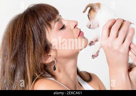 Hermosa mujer sosteniendo cachorro Chihuahua contra fondo blanco Foto de stock