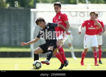 Guimarães, 04/20/2019 - Vitória Sport Clube ha recibido esta mañana el Club  Deportivo de las