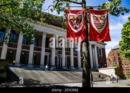 Cursos de Harvard, Yale y otras universidades ¡Gratis!