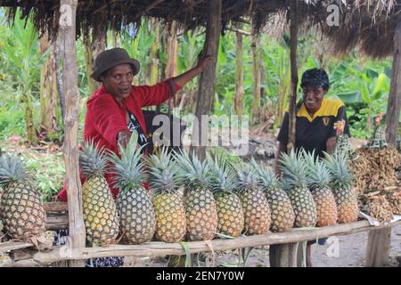 Mujeres de Papúa Nueva Guinea que venden piñas frescas en un mercado al borde de la carretera en las tierras altas occidentales, Papúa Nueva Guinea. Foto de stock