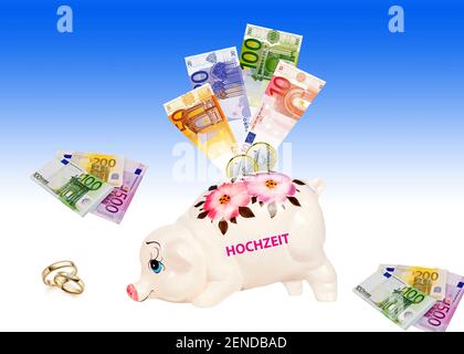 Sparschwein mit Euro Banknoten und Münzen, SPAREN als Vorsorge, SPAREN für die Hochzeit