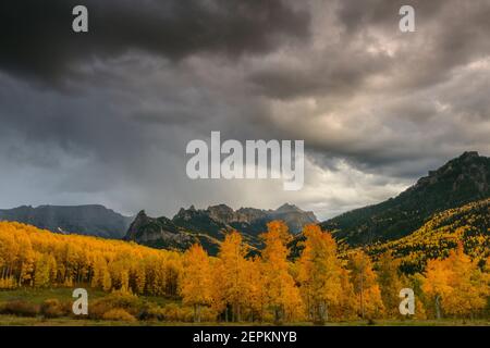 Acercándose a la tormenta, álamos, Cimarron Ridge, precipicio pico, Uncompahgre National Forest, Colorado Foto de stock
