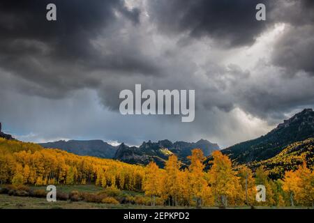 Acercándose a la tormenta, álamos, Cimarron Ridge, precipicio pico, Uncompahgre National Forest, Colorado Foto de stock