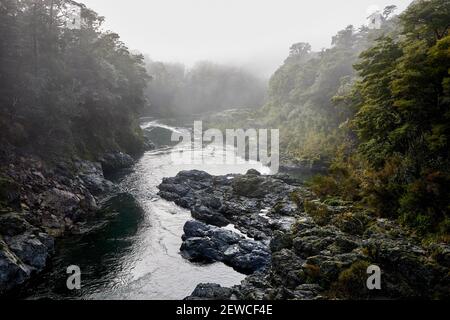 Pelorus Bridge Scenic Reserve cerca de Havelock en Marlborough en Nueva Isla del Sur de Zelanda Foto de stock