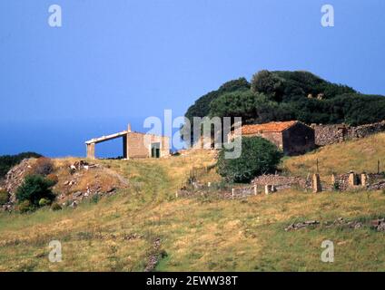 Alrededores de Bosa, Cerdeña, Italia (escaneado a partir de portaobjetos de color)