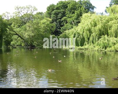 Vistas al lago de Thwaite Hall Gardens en Cottingham, East Yorkshire