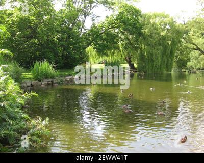 Vistas al lago de Thwaite Hall Gardens en Cottingham, East Yorkshire