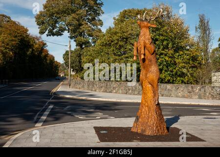 Estatua de madera tallada de un ciervo rojo saltando en el aire, tallada enteramente de un viejo árbol en Mission Road en Killarney, Condado de Kerry, Irlanda. Foto de stock
