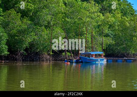 Embarcadero del río en la isla tropical Langkawi. Foto de stock