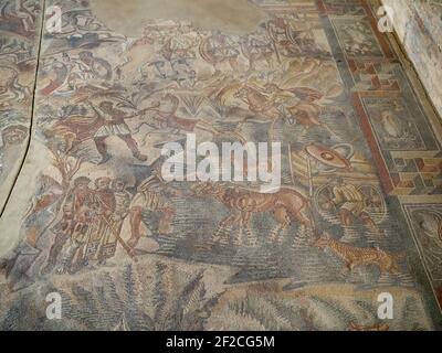 Mosaico escena de caza, villa romana del Tellaro Foto de stock