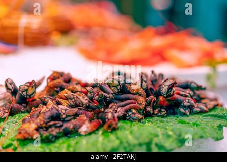 Un marisco español. Percebes de cuello de ganso en el mostrador del mercado de pescado. Colores brillantes, enfoque selectivo, bokeh.