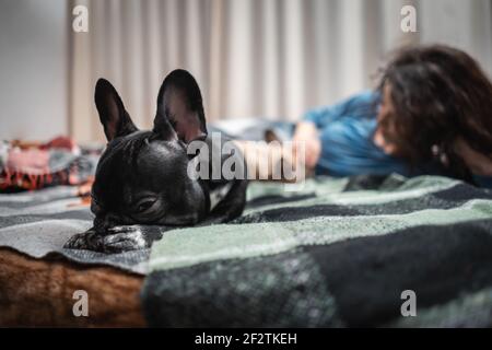 mujer y pareja lindos perros bulldog franceses descansando en la cama con cuadros en casa