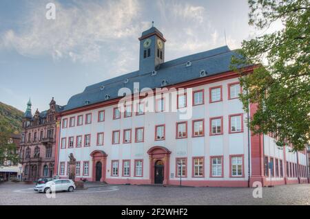 Museo de la Universidad de Heidelberg, Alemania Foto de stock