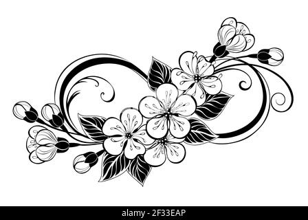 Silueta símbolo de infinito, decorado con contornos, artísticamente dibujado, contorno, flores sakura y hojas en fondo blanco. Colorear. Ilustración del Vector
