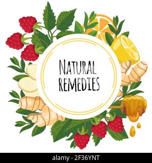 Remedios naturales marco con ingredientes saludables - jengibre, menta, limón, frambuesa. Medicina natural herbaria popular. Tratamiento en el hogar para resfriados, gripe, secreción Ilustración del Vector