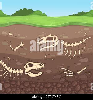 Huesos de arqueología. Huesos de dinosaurio subterráneos capas de suelo enterrado vector de arcilla ilustración de dibujos animados