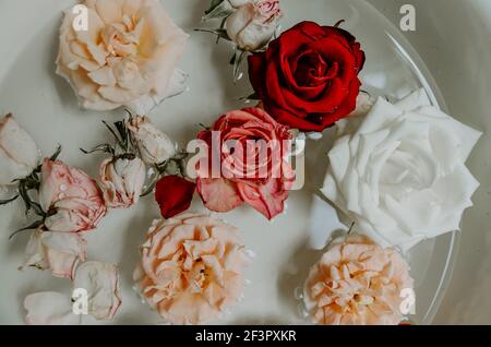 Vista de primer plano de ángulo alto de medio recipiente lleno con composición de color pastel de rosas flotando en el agua