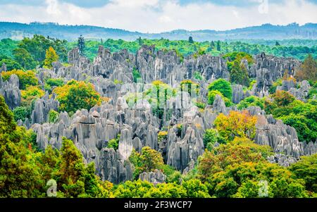 Vista panorámica del paisaje de Shilin gran bosque de piedra con brillante Colores otoñales en Kunming Yunnan China Foto de stock