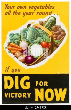 British, WW2, producción de alimentos: Cavar para la victoria - sus propias verduras todo el año, cartel, 1942-1945 Foto de stock