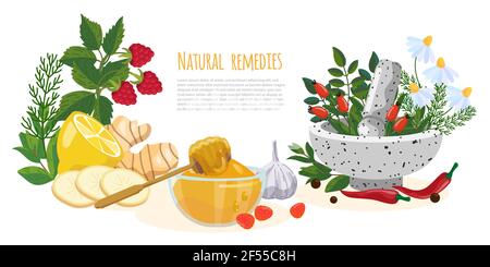 Remedios naturales o pancarta de medicina popular. Frambuesa, jengibre, miel, ajo, pimienta, chile, camomila, limón, rosa caderas, menta, mortero y mortero. Hierba Ilustración del Vector