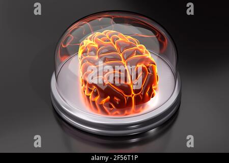 Representación tridimensional del cerebro humano en un frasco de vidrio Foto de stock