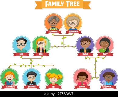 Diagrama que muestra la ilustración del árbol genealógico de tres  generaciones Imagen Vector de stock - Alamy