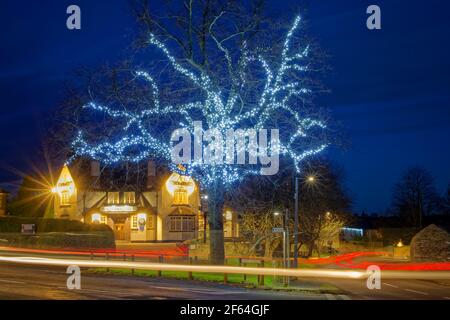 Reino Unido, South Yorkshire, Doncaster, Barnburgh, Coach y Horses Pub con árbol iluminado en el Village Green. Foto de stock