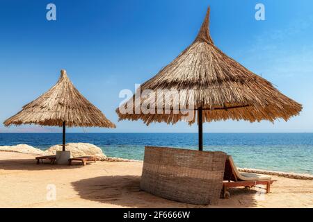 Playa tropical soleada con sombrillas en la playa de coral del Mar Rojo, Egipto, África. Foto de stock