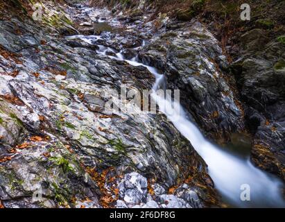 Un tiro angular de una pequeña cascada en el Montes Cárpatos Vrancea condado Rumanía Foto de stock
