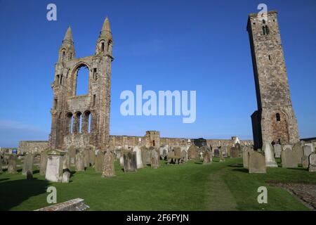 Las ruinas de la Catedral de St. Andrews en Escocia Foto de stock