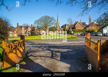 Iglesia de Santa María en Astbury cerca de Congleton Cheshire Inglaterra con el pueblo verde y narcisos en flor en primavera con cielo azul Foto de stock