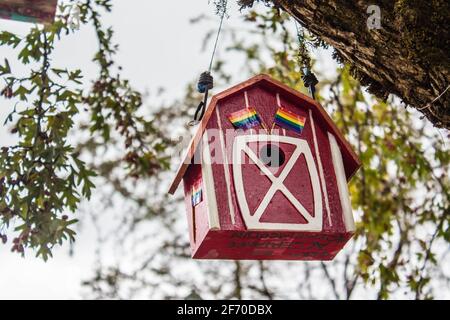 Vancouver, British Columbia, Canadá - 23 de septiembre de 2017: La casa de aves rojas en un árbol en el fondo del bosque de primavera Foto de stock