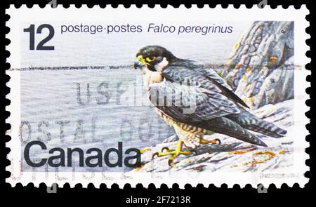 MOSCÚ, RUSIA - 28 DE FEBRERO de 2021: Sello postal impreso en Canadá muestra Peregrine Falcon (Falco peregrinus), Fauna Silvestre en peligro (serie 2nd) serie,