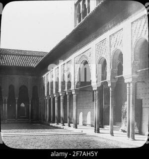 Imagen de icono de Skipt con motivos de puerta de león, marcando la