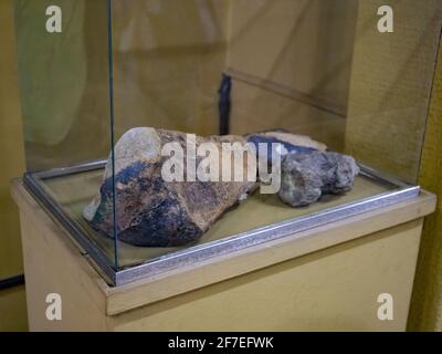 Goiania, Goias, Brasil - 02 01 2019: Roca con animal fosilizado en el museo público Goiano Maestro Zoroastro Artiaga Foto de stock