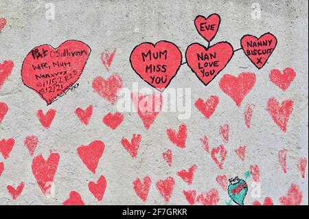 National Covid Memorial Wall, alrededor de 130.000 corazones han sido pintados en una sección de un kilómetro de largo de la pared frente a las Casas del Parlamento como un monumento a los que han muerto de Coronavirus. Hospital St Thomas, Westminster, Londres. REINO UNIDO