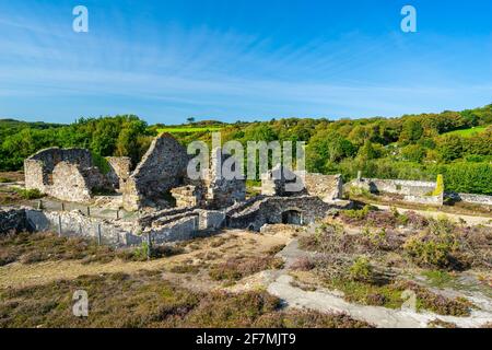 Restos mineros históricos en Poldice Valley cerca de St Day y. Redruth Cornwall Inglaterra Reino Unido Europa Foto de stock