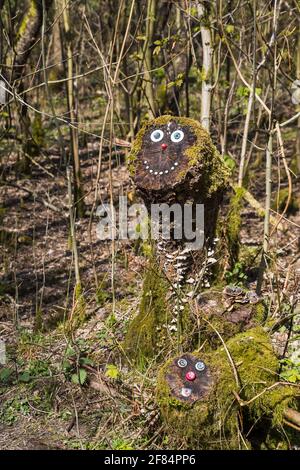 Dos caras creadas en tocones de árboles en un bosque encantado cerca de Wigan en Lancashire. Foto de stock