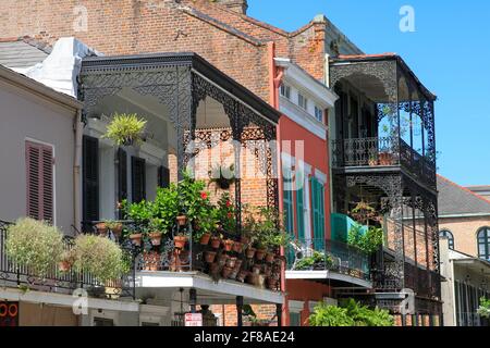 Balcones de hierro forjado con flores en las fachadas de New Casas en Orleans Foto de stock