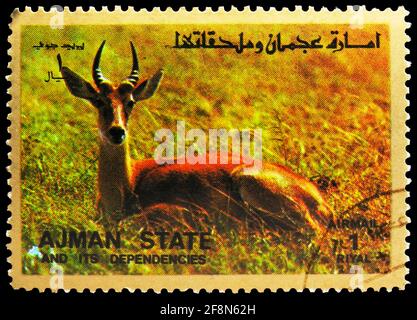 MOSCÚ, RUSIA - 30 DE SEPTIEMBRE de 2019: Sello postal impreso en Ajman muestra Antilope, serie de mamíferos, alrededor de 1973