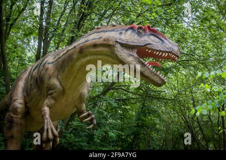 Dinosaurio Allosaurus (similar al Tyrannosaurus) como modelo en el Dinopark Münchehagen cerca de Hanover. Vivió hace unos 150 millones de años (al final del período Jurásico) en América del Norte y Europa, tenía alrededor de 9m de largo y 1,5T de peso. Foto de stock